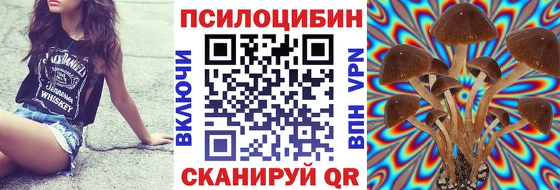 Галлюциногенные грибы мухоморы  цена   МЕГА маркетплейс  Киржач 
